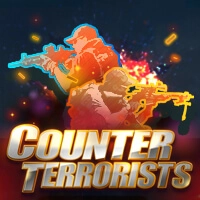 counter terrorists